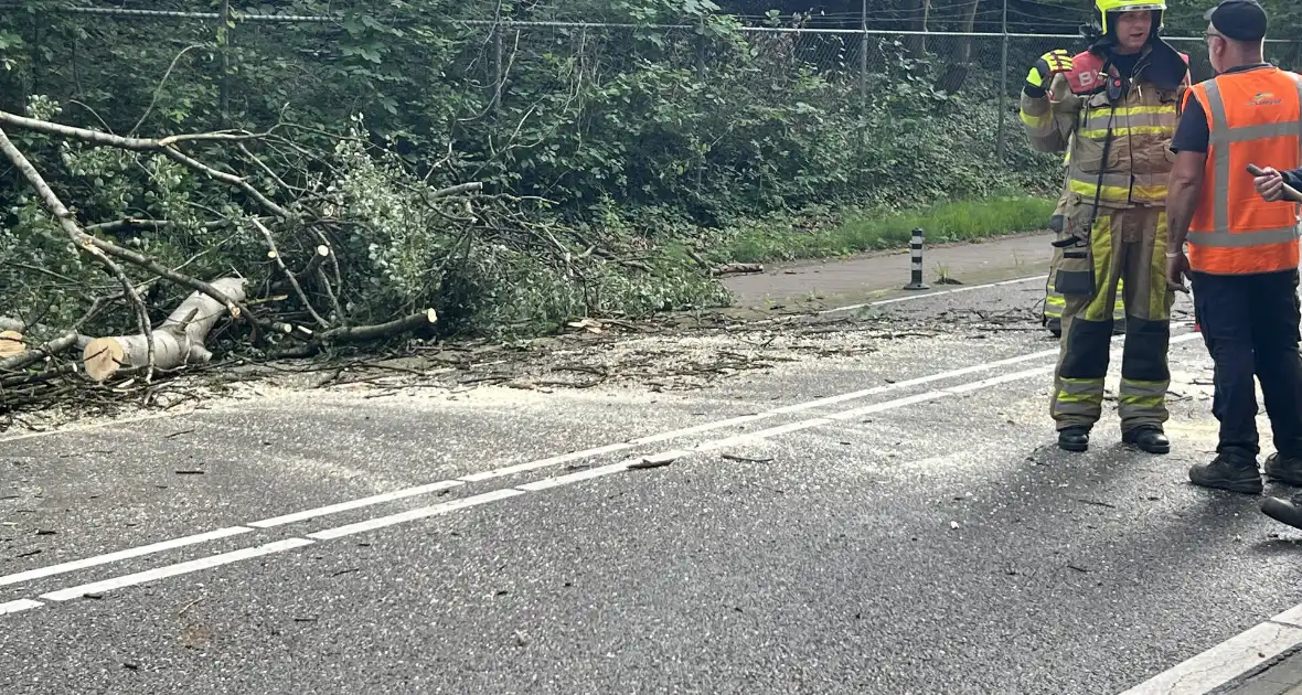 Omgevallen boom blokkeert de weg - Foto 7