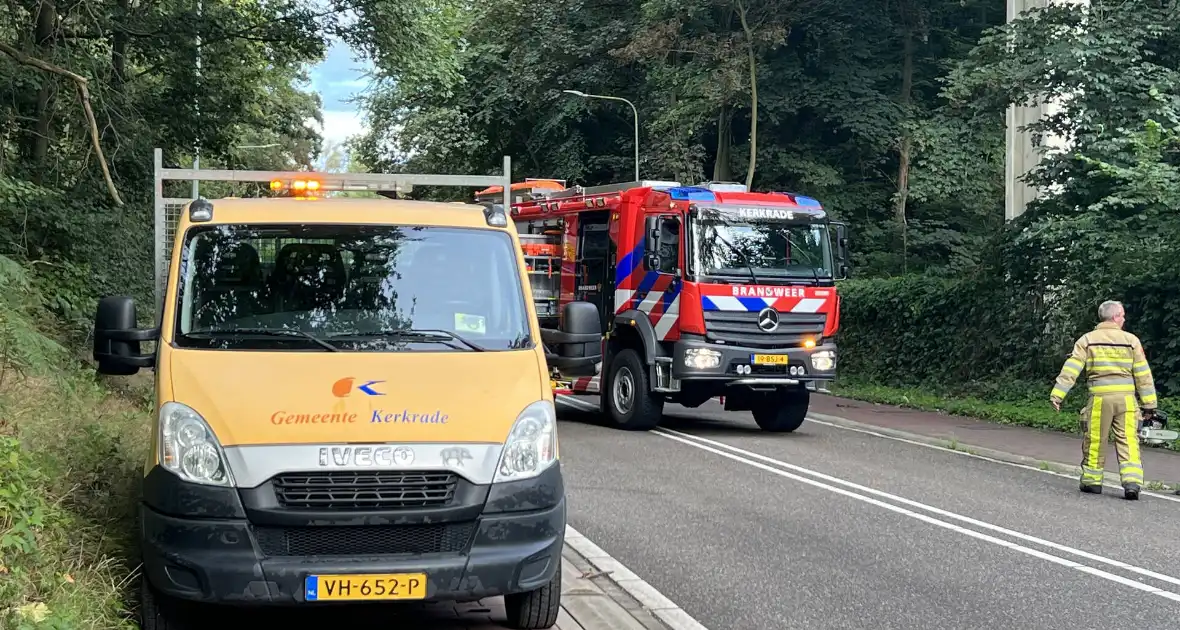 Omgevallen boom blokkeert de weg - Foto 8