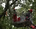 Brandweer ingezet voor afgebroken boom
