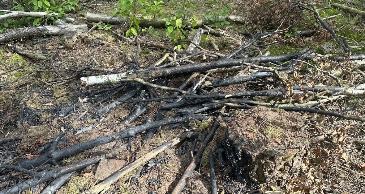 Brand in bosgebied snel onder controle - Foto 1