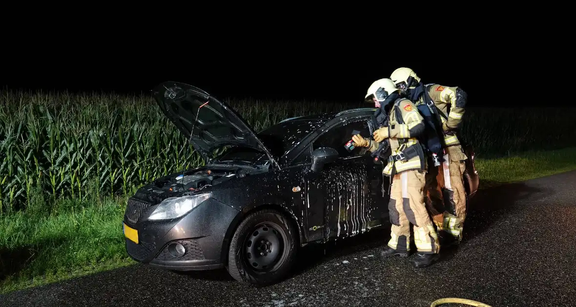 Autobrand snel geblust