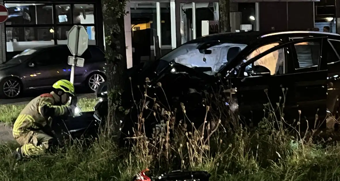 Automobilist klapt op boom - Foto 11