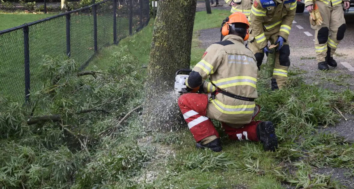 Brandweer voorkomt vallende boom - Foto 10
