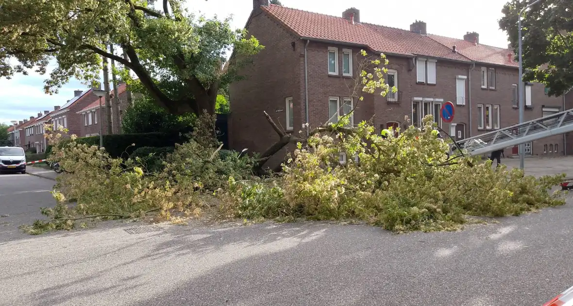 Grote tak van boom afgebroken door harde wind