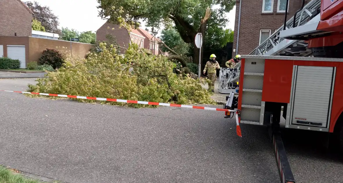 Grote tak van boom afgebroken door harde wind - Foto 1