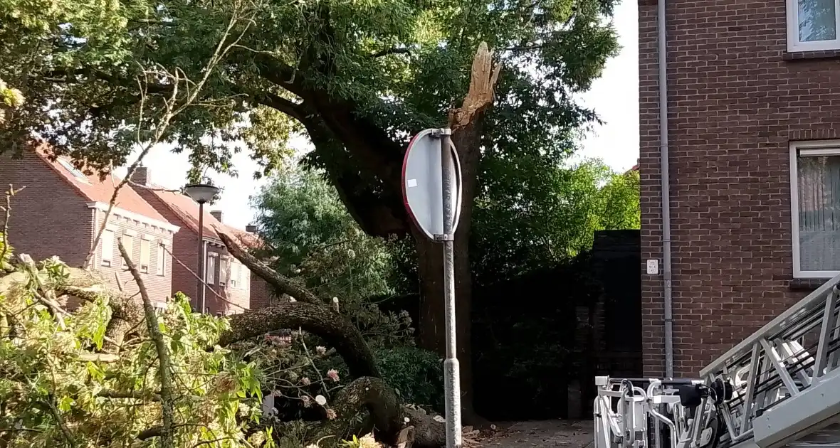 Grote tak van boom afgebroken door harde wind - Foto 2