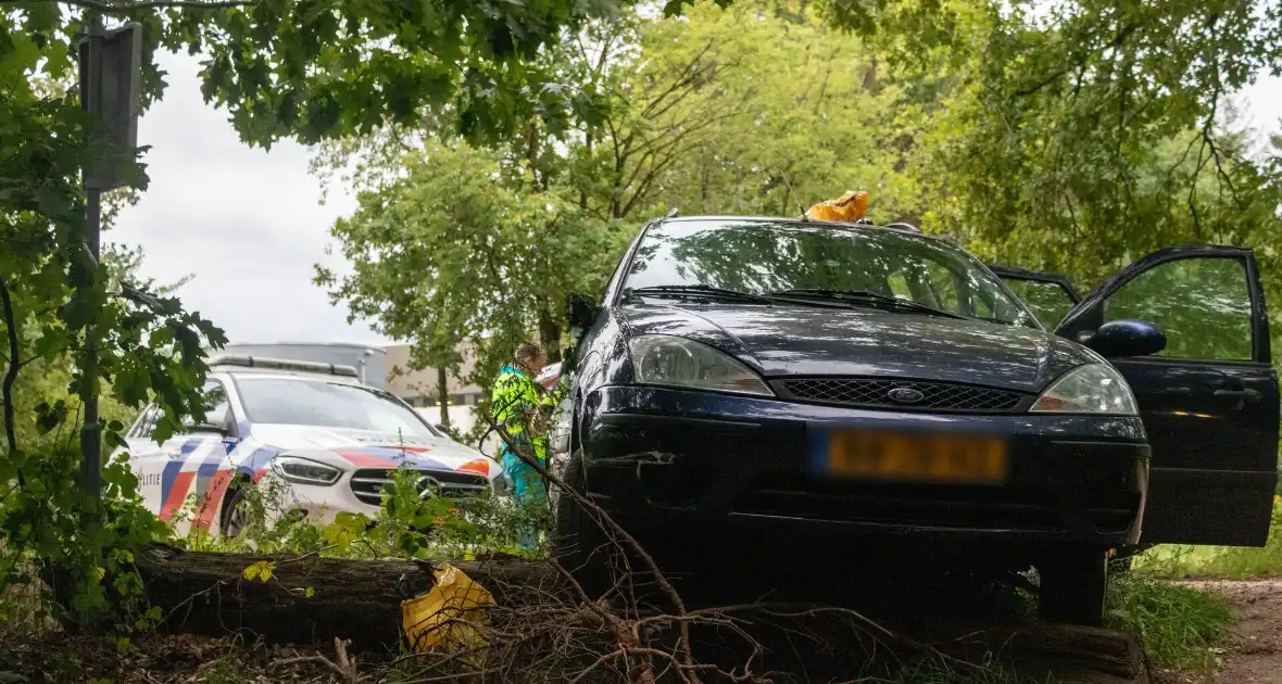 Bestuurder onder invloed botst op boomstronk - Foto 10
