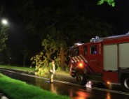 Brandweer verwijdert grote tak