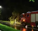 Brandweer verwijdert grote tak