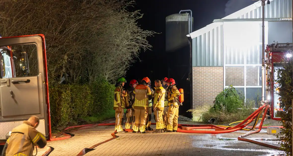 Honderden koeien gered bij uitslaande brand - Foto 6