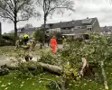 Brandweer zaagt omgevallen boom in stukken