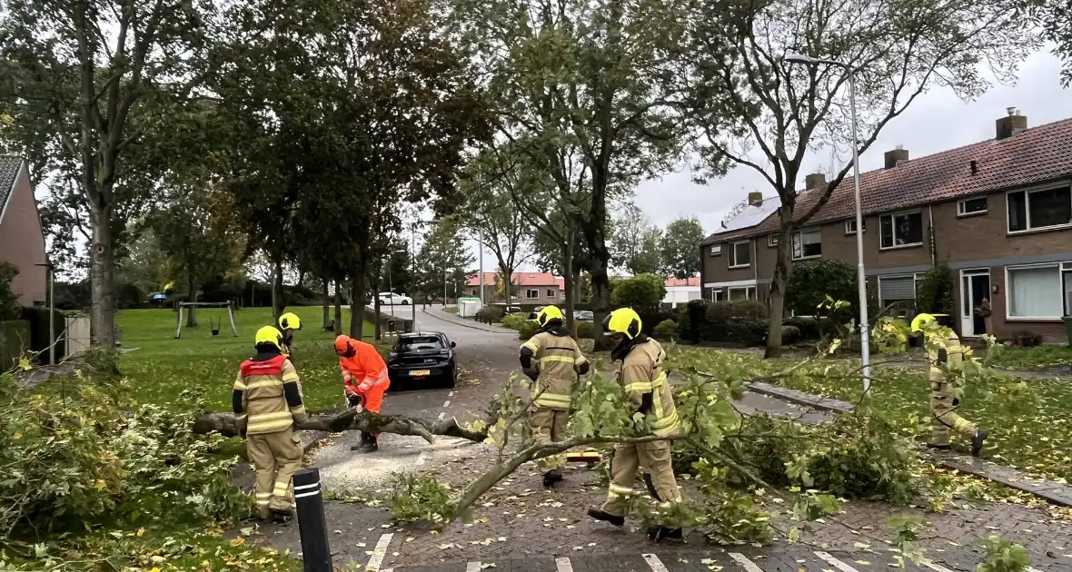 Brandweer zaagt omgevallen boom in stukken - Foto 12