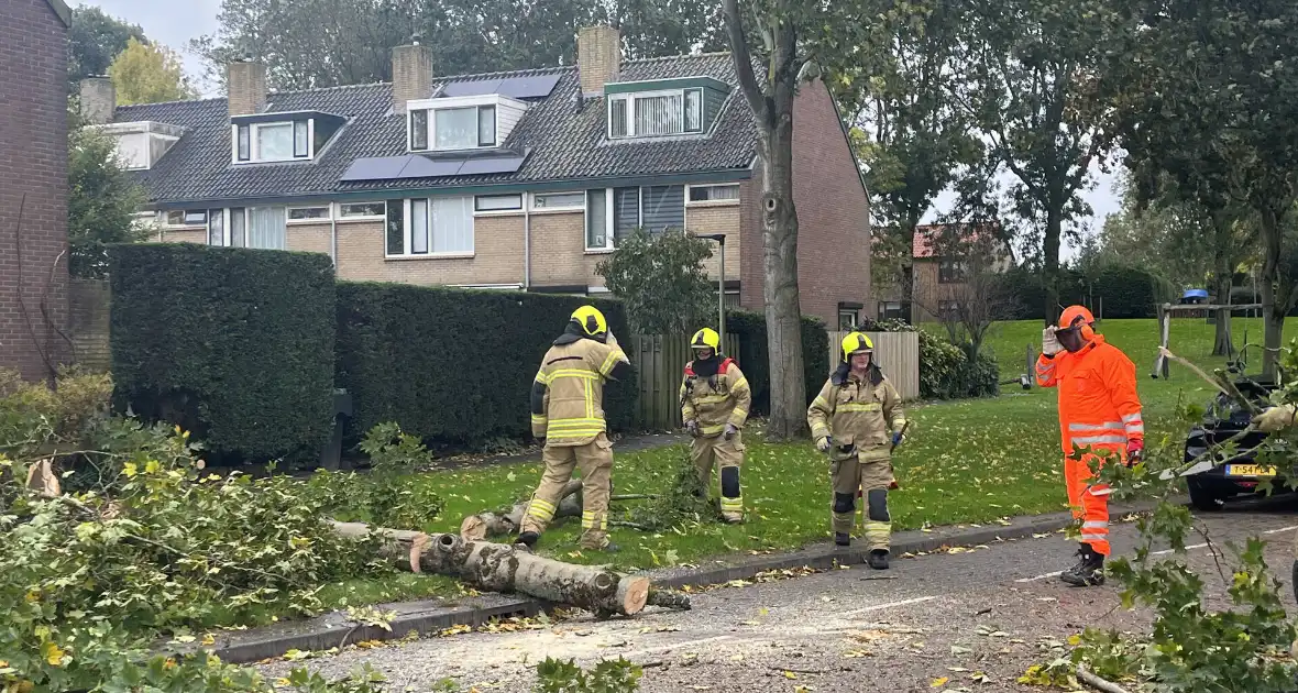 Brandweer zaagt omgevallen boom in stukken - Foto 7