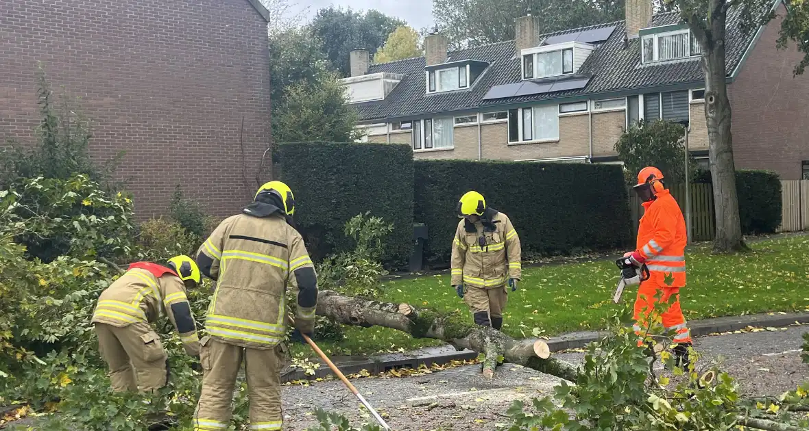Brandweer zaagt omgevallen boom in stukken - Foto 9