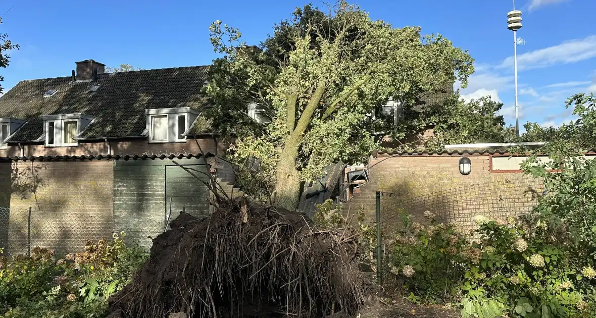 Fikse schade aan schuur door omvallende boom
