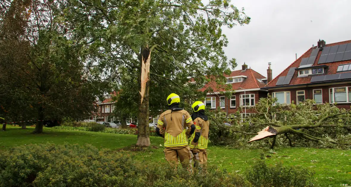 Omgeving afgezet door afgebroken tak - Foto 4