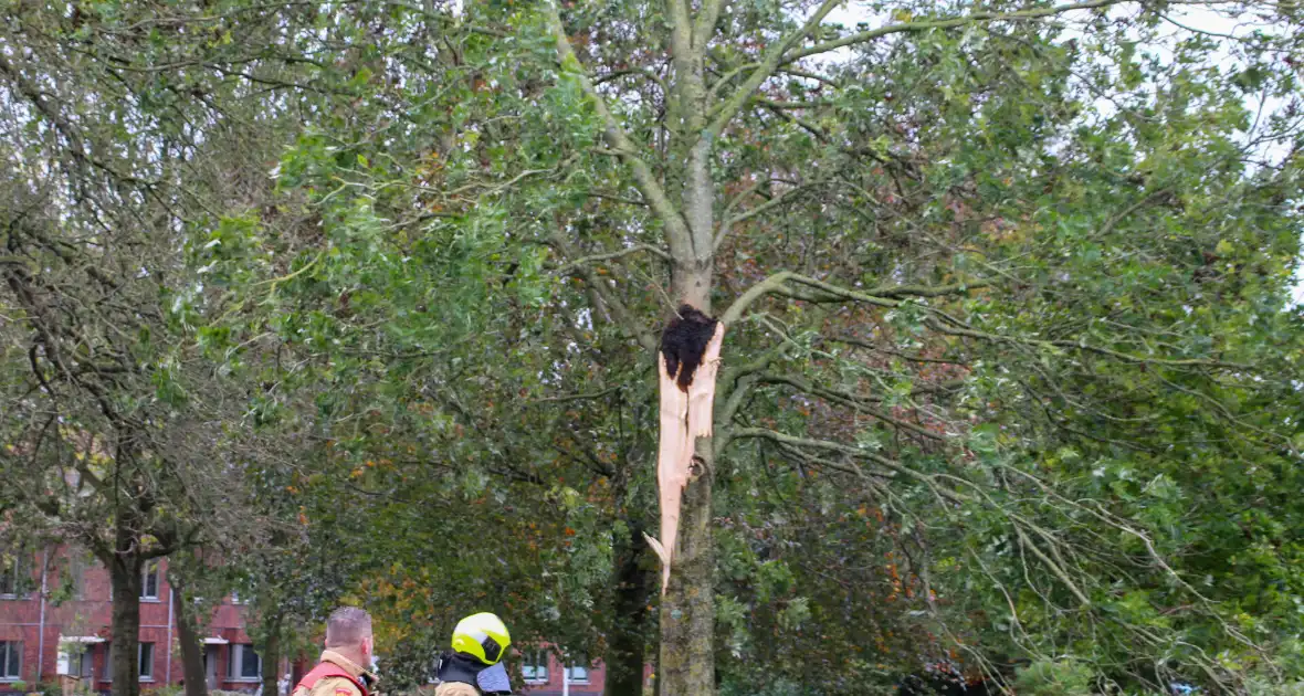 Omgeving afgezet door afgebroken tak - Foto 5