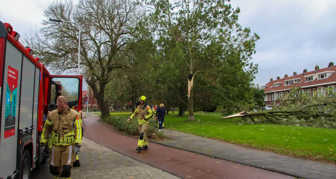 Omgeving afgezet door afgebroken tak - Foto 7
