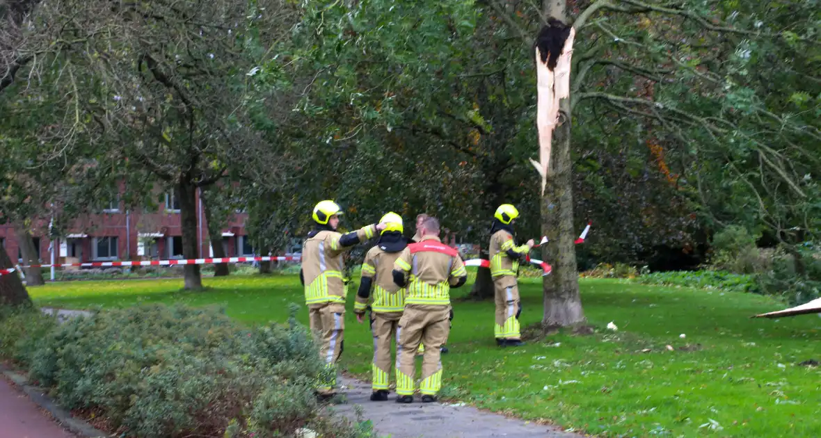 Omgeving afgezet door afgebroken tak - Foto 8