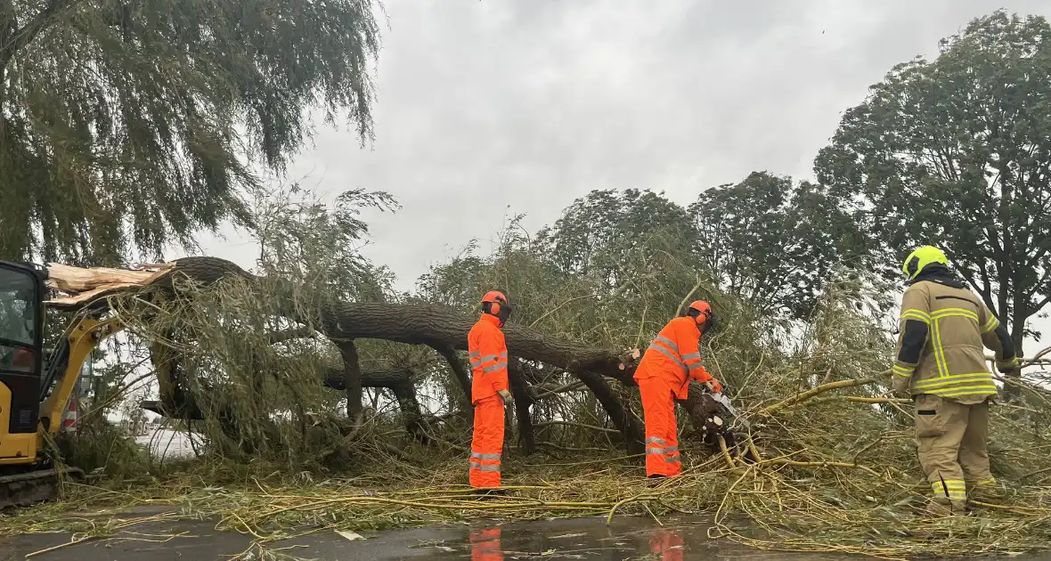 Grote boom val over weg - Foto 16