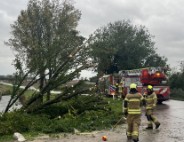 Brandweer verwijdert boom van weg