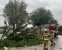 Brandweer verwijdert boom van weg