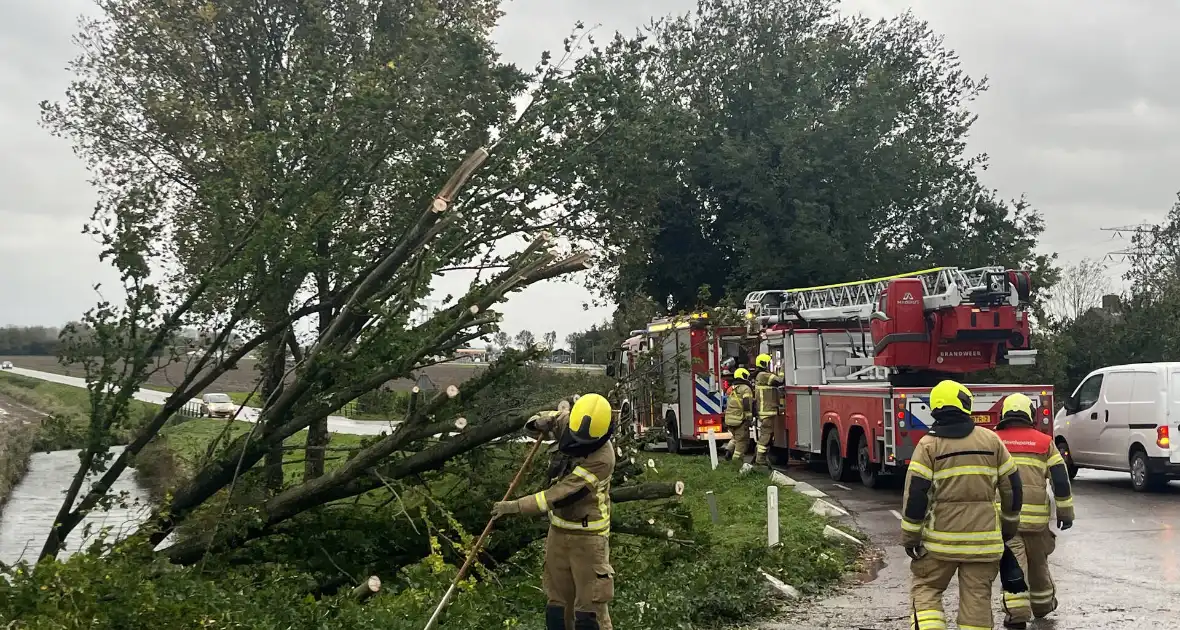 Brandweer verwijdert boom van weg - Foto 1