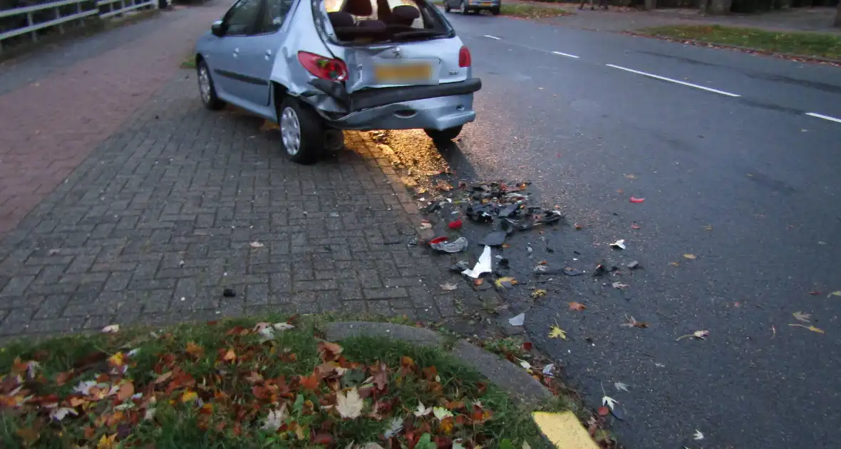 Bestelbus klapt op geparkeerde auto nadat hond op schoot springt - Foto 1