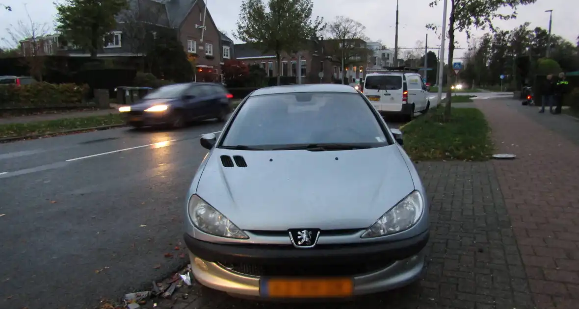 Bestelbus klapt op geparkeerde auto nadat hond op schoot springt - Foto 2