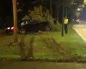 Gewonde nadat auto op boom botst