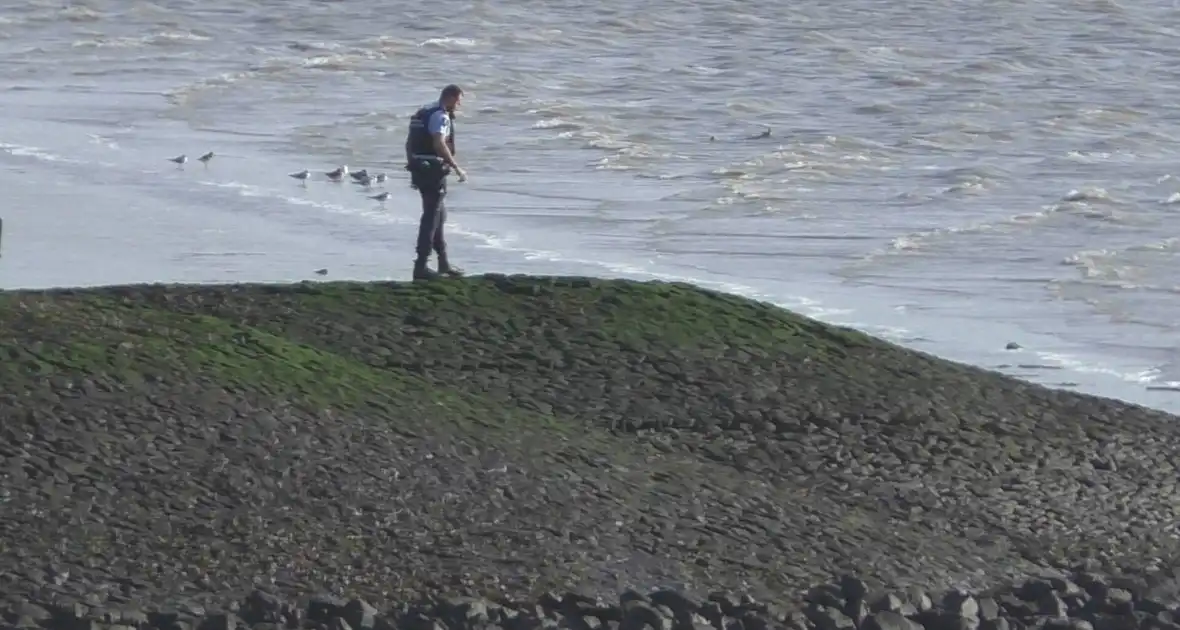 Zoekactie langs dijken bij Westerschelde - Foto 6