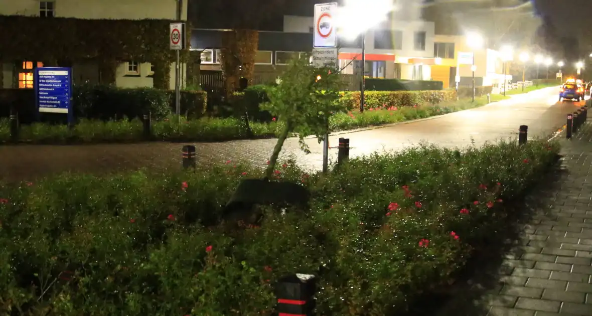 Automobilist botst op paal en boom - Foto 4