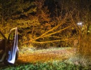 Scooterrijder gewond bij botsing met omgewaaide boom