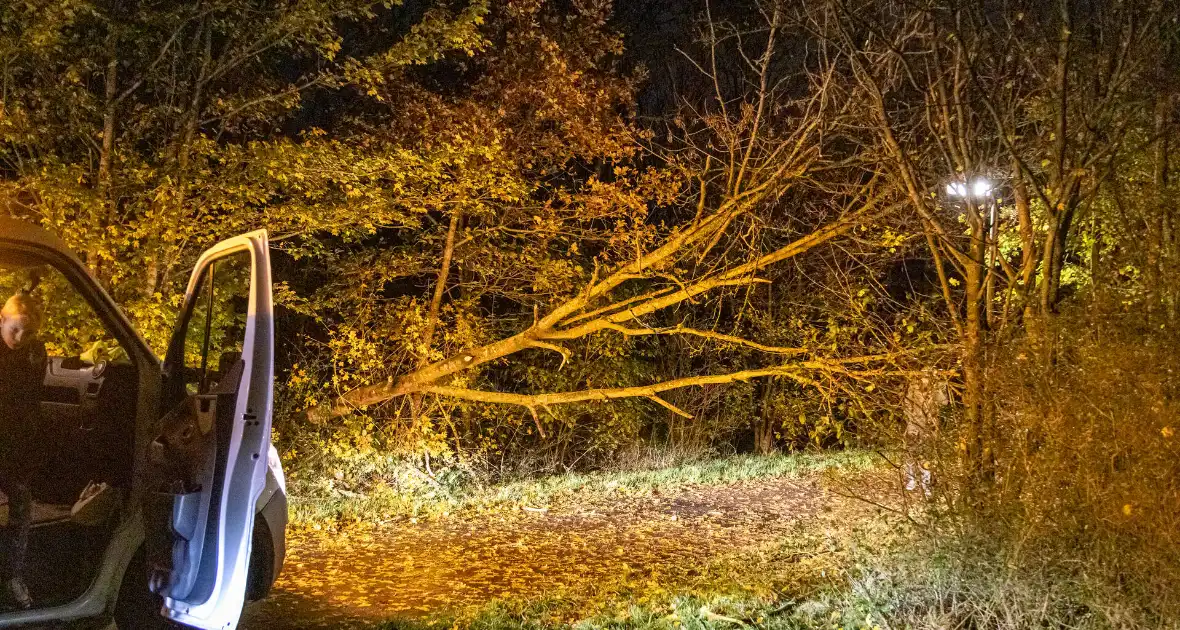 Scooterrijder gewond bij botsing met omgewaaide boom