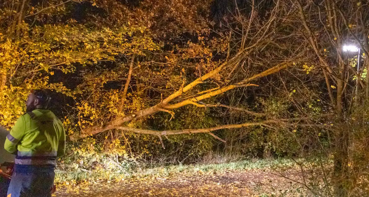 Scooterrijder gewond bij botsing met omgewaaide boom - Foto 1