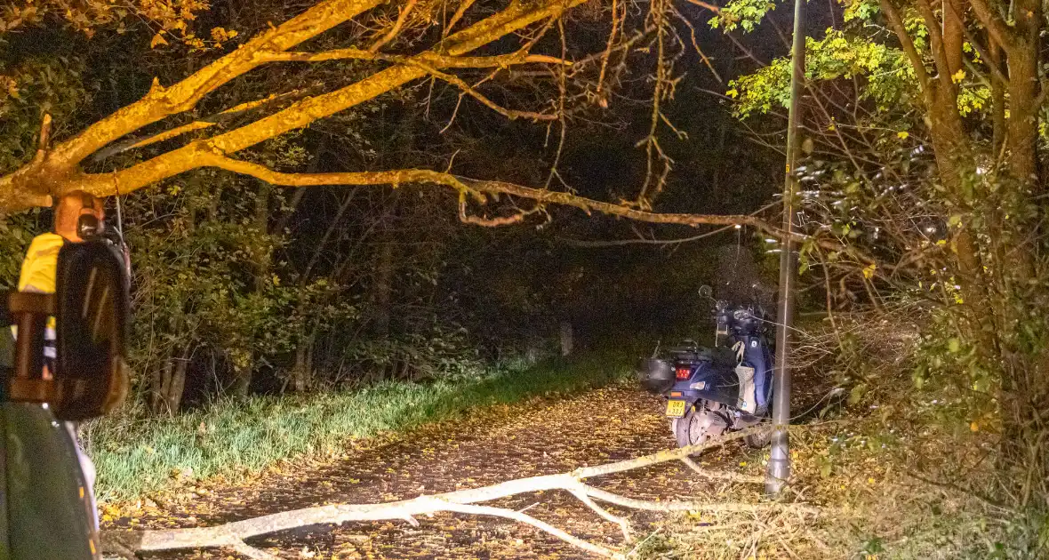 Scooterrijder gewond bij botsing met omgewaaide boom - Foto 2