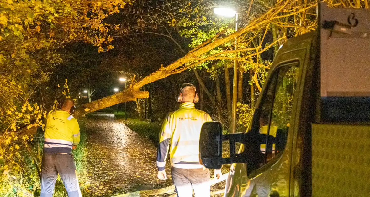 Scooterrijder gewond bij botsing met omgewaaide boom - Foto 3