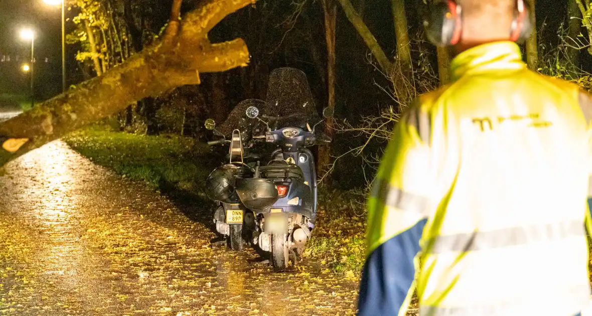Scooterrijder gewond bij botsing met omgewaaide boom - Foto 4