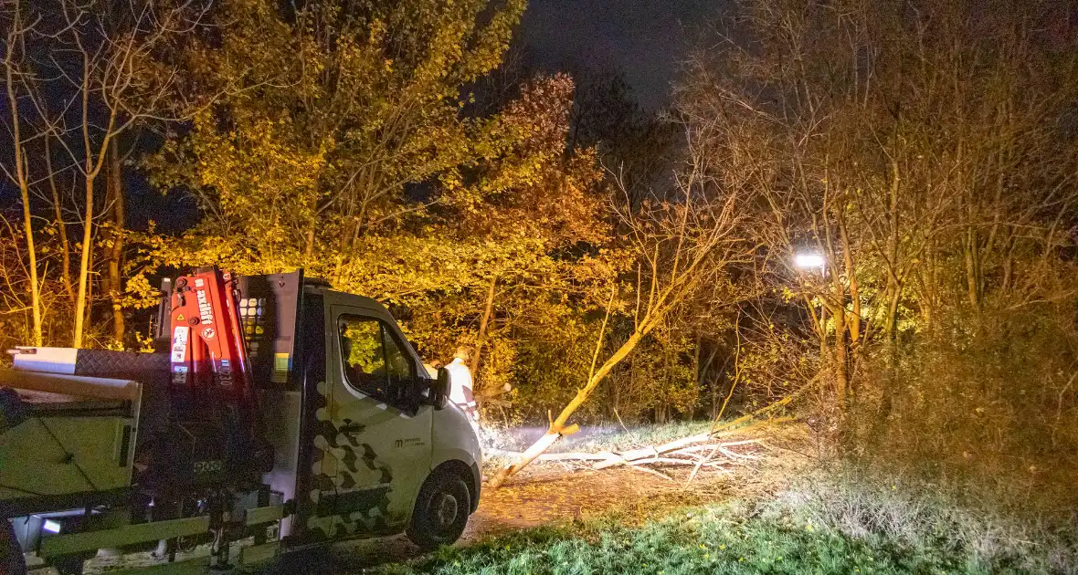 Scooterrijder gewond bij botsing met omgewaaide boom - Foto 5