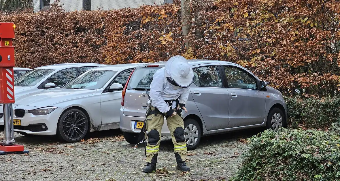 Nest Aziatische Hoornaars verwijderd met behulp van hoogwerker - Foto 4