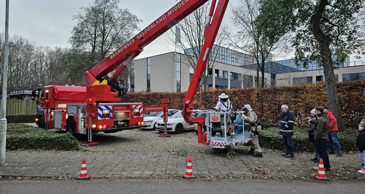 Nest Aziatische Hoornaars verwijderd met behulp van hoogwerker - Foto 6