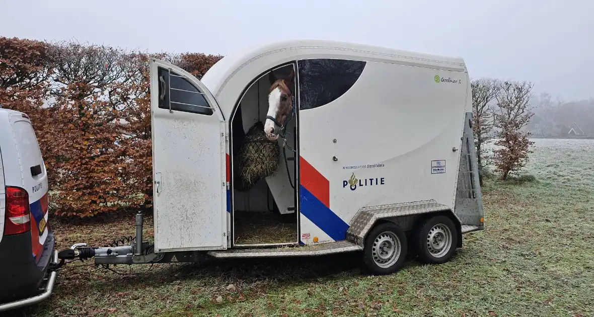 Grote zoektocht naar vermiste 36- arige man - Foto 7