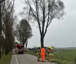 Grote tak dreigt uit boom te waaien