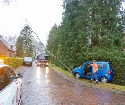 Automobilist rijdt boom omver