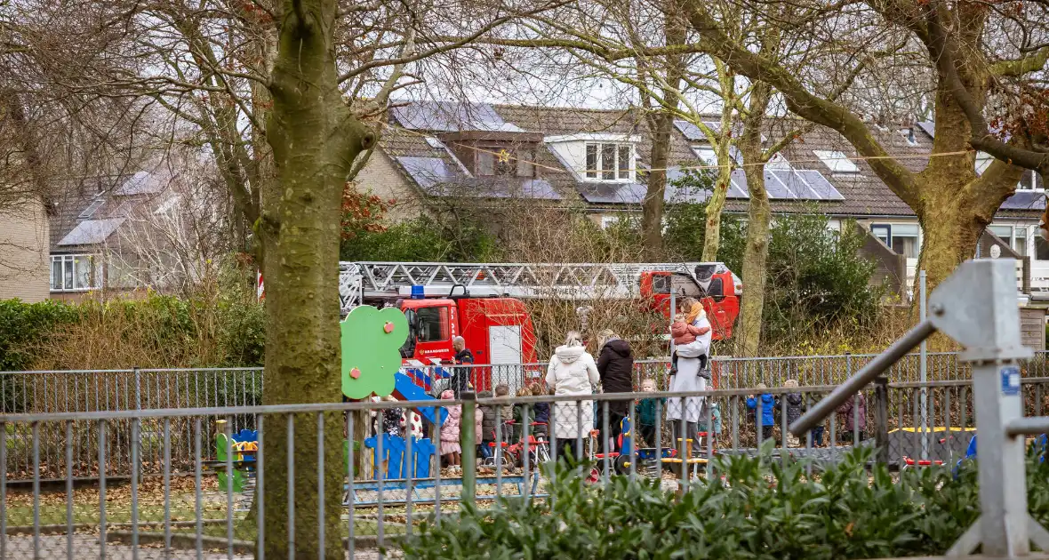 Kat springt uit hoge boom bij reddingsactie - Foto 4