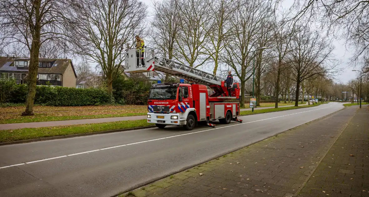 Kat springt uit hoge boom bij reddingsactie - Foto 6