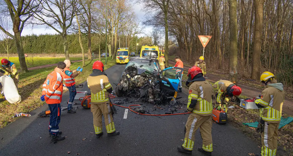 Bestuurder van bestelbus botst op boom