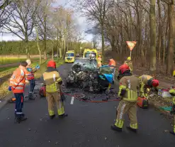 Bestuurder van bestelbus botst op boom