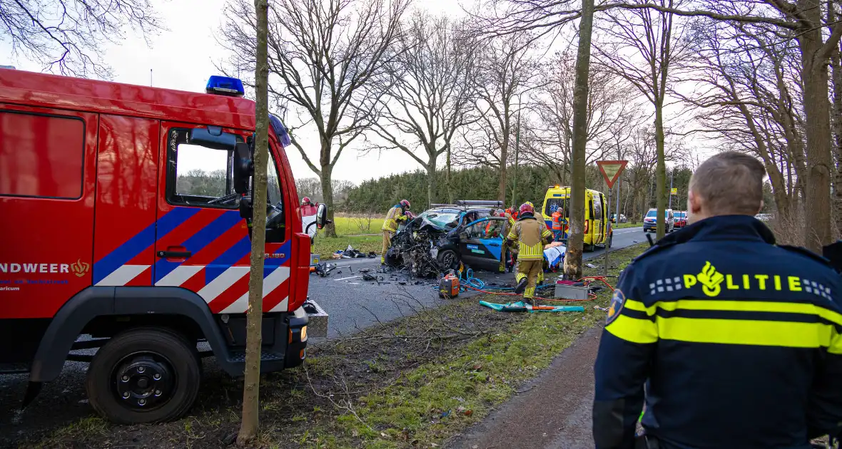 Bestuurder van bestelbus botst op boom - Foto 6