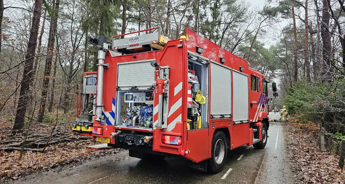 Twee bomen geveld door storm Pia - Foto 5